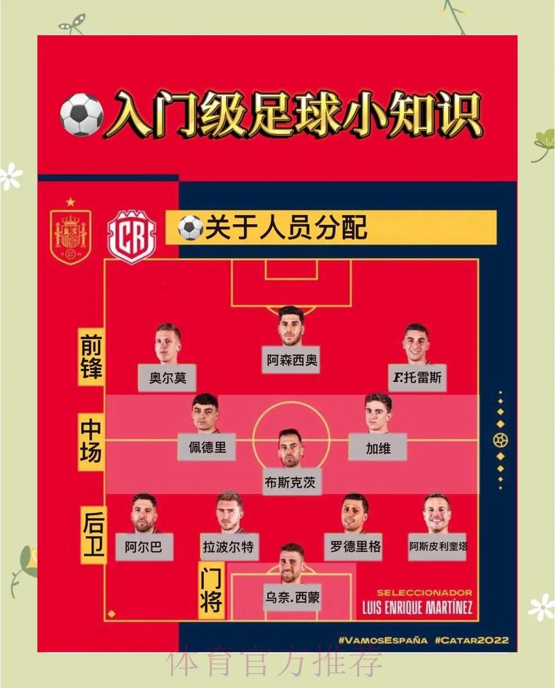 世界杯投注策略与实战经验分享